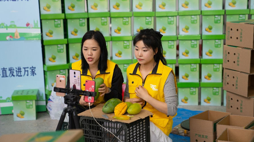 魅力崇左东盟果，凭祥直发进万家