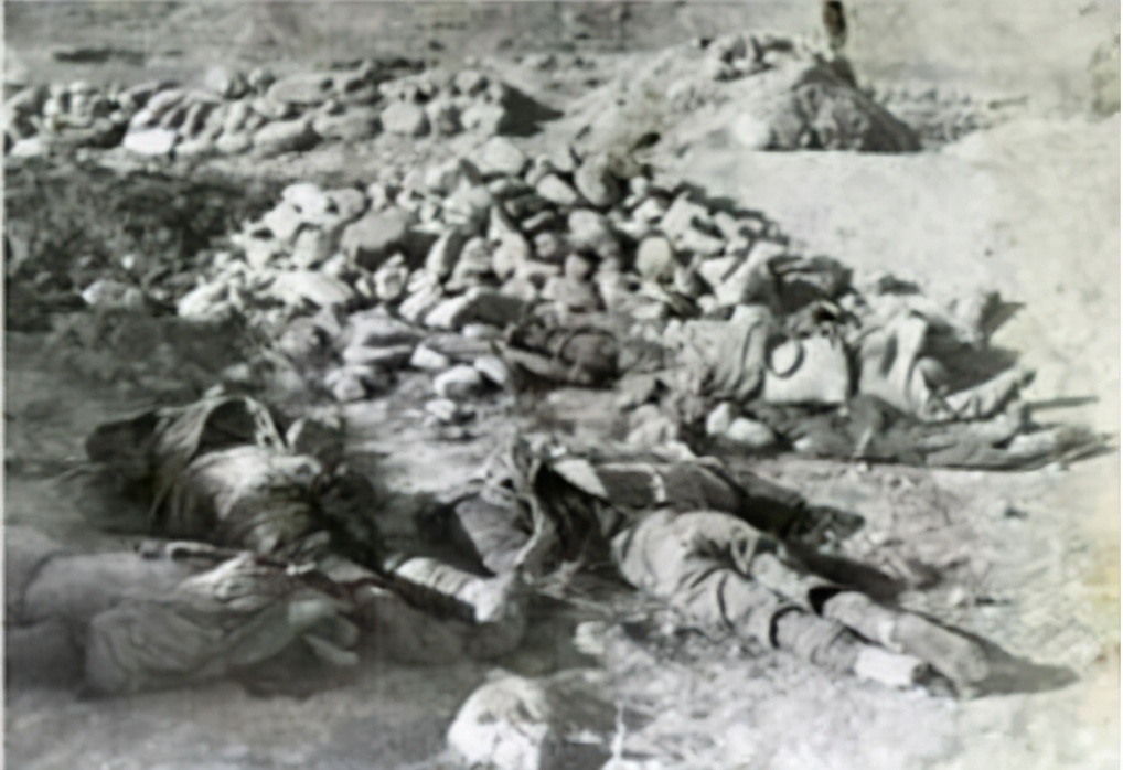 ��������һλ�������͵�ū���ҵ���ž����������ݺ󾪶���������