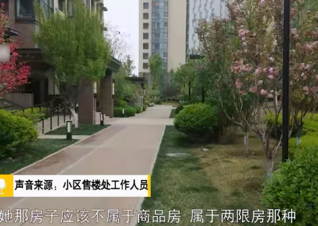 北京阿姨为找回爱犬，承诺送一套房，均价5万/平，物业：是两限房