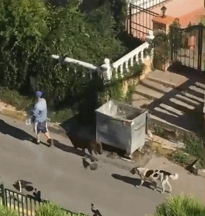 To realize princess dream of the daughter, play essence old father with one's own hands tailor about a hundred " blackart " skirt explodes sth resembling a net of network of fire