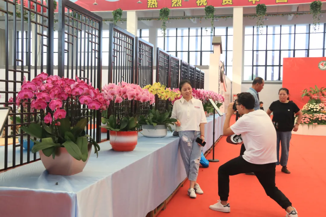 大饱眼福，第八届中国沭阳花木节竟如斯出色！你想看的全在这里…
