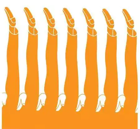 传说中15张超神奇的图，听说智商多少一看就暴露