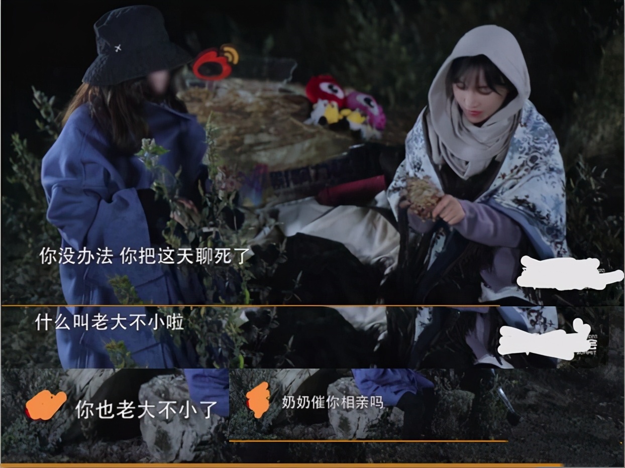 记者采访网红李子柒被怼是什么原因,李子柒是个怎样的人