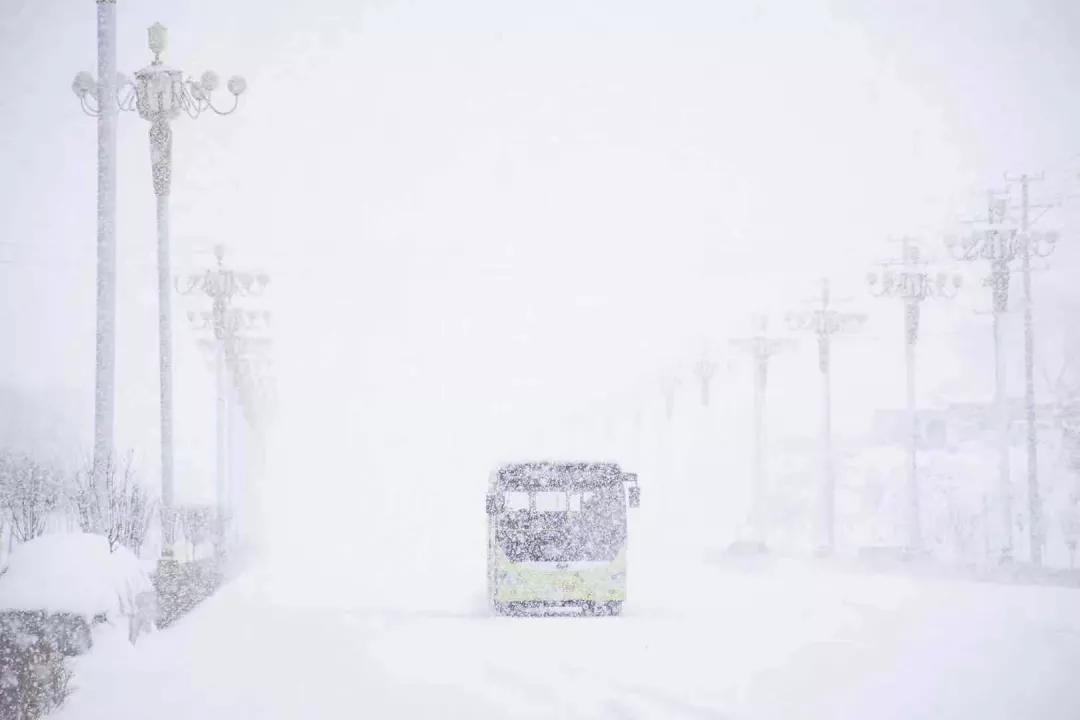 Snow fell, such scene that pat snow that but too beautiful