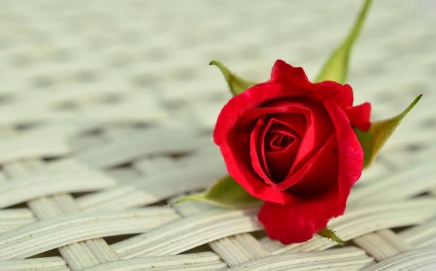 成功的人，敢于“尝试”