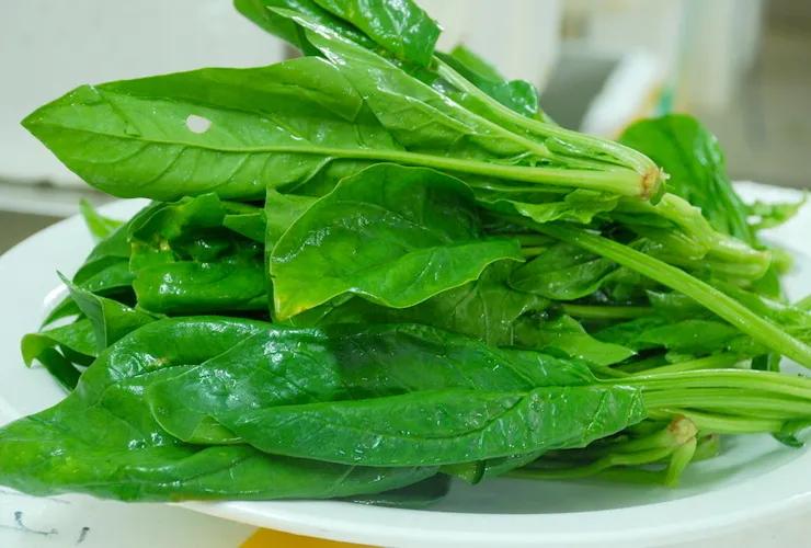 降血压的十种最佳食物降血压最好的食物排名