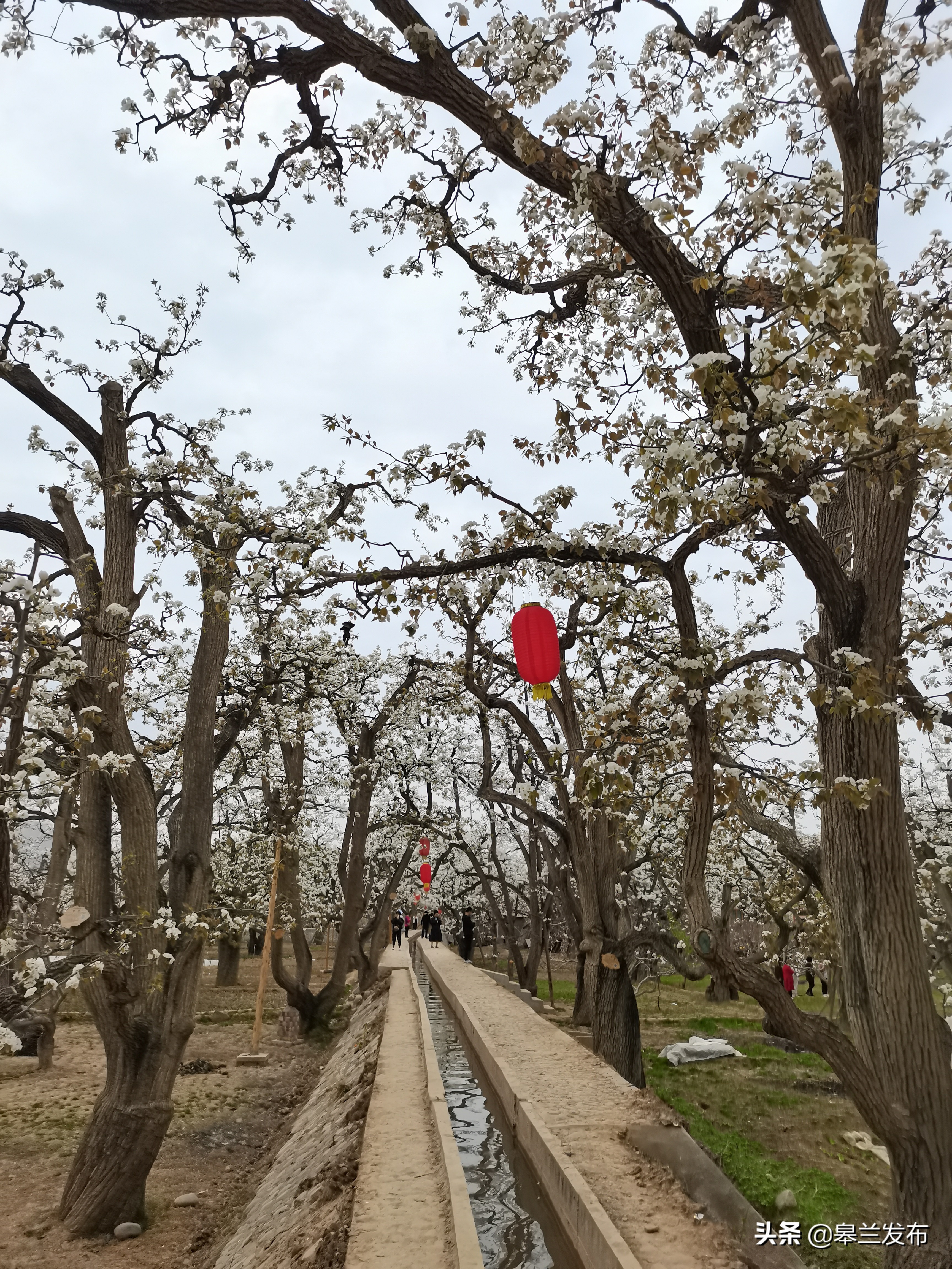 ����ʲ������԰������������