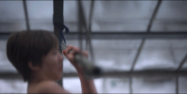 瑞典夫妻花12年为自闭症儿子建了座玻璃城堡：所