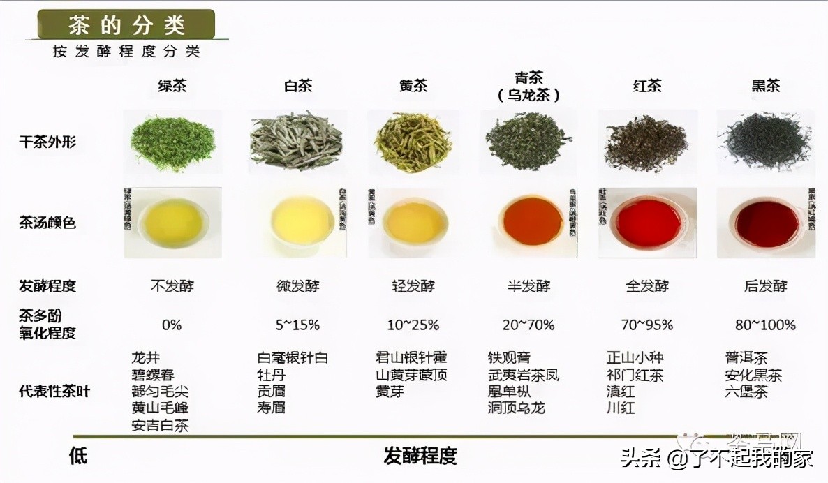 六大茶类｜茶艺基础知识