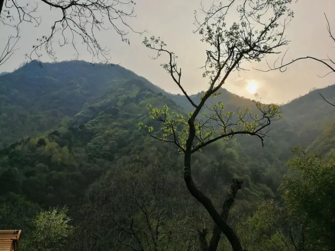 改善当道｜老山两叠真墅热势加推 仅44席