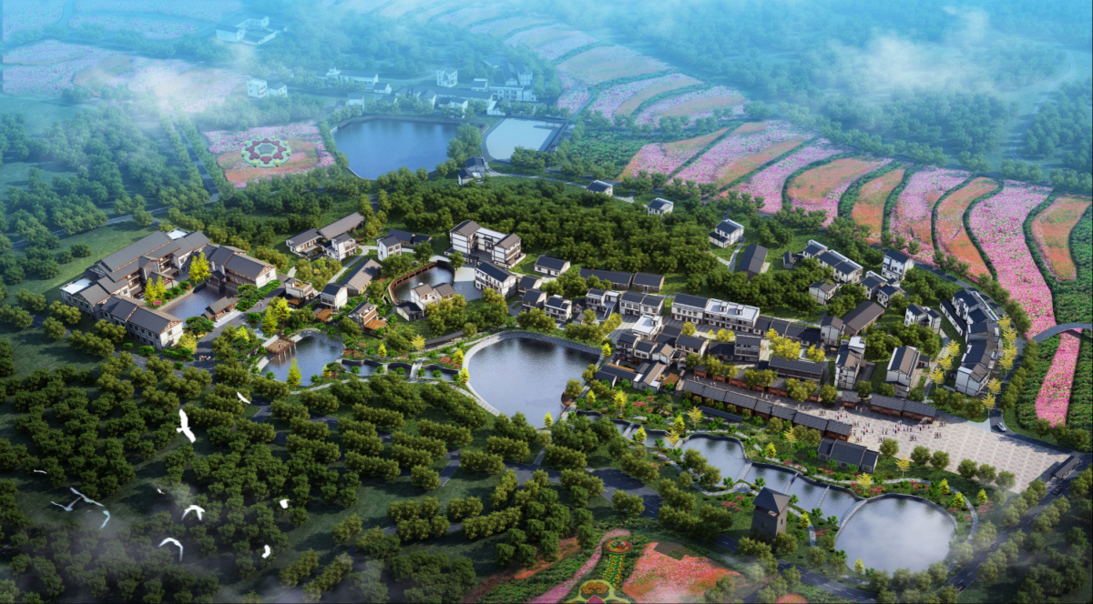 “五”个结合，规划设计“田园+康养”，80%才能盈利