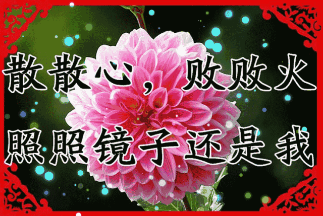 十一|今天正月十一送你11个字 11张图太美了看懂的都是高人