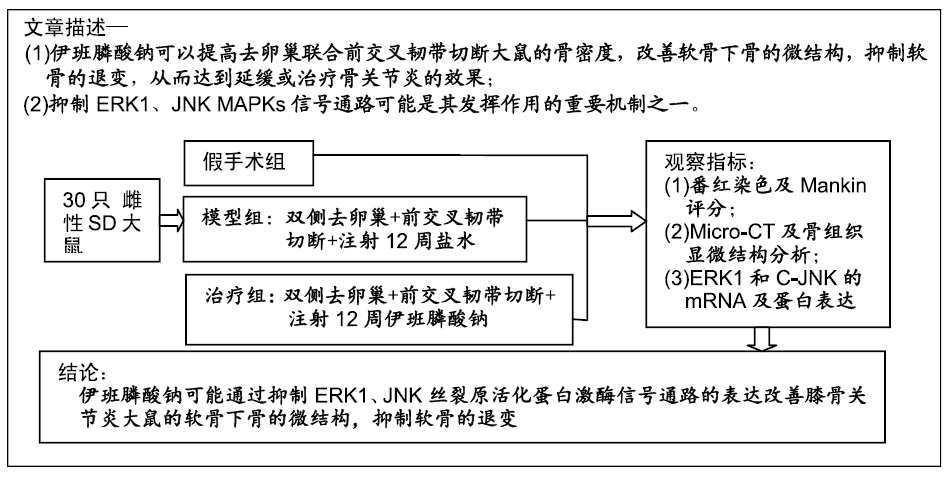 伊班膦酸钠干预骨关节炎模型大鼠丝裂原活化蛋白激酶信号通路的变化