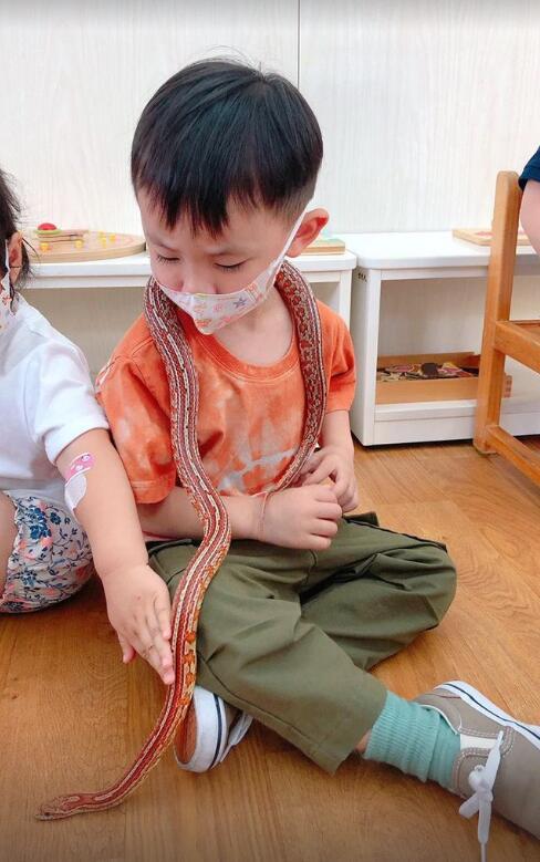 余文樂首曬一家四口合照，半歲女兒正面照曝光，妹妹小臉傲嬌可愛