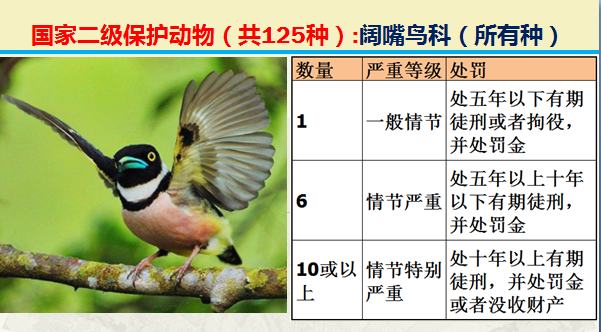 国家最新125类二级野生保护名录，图片及违法对应刑责