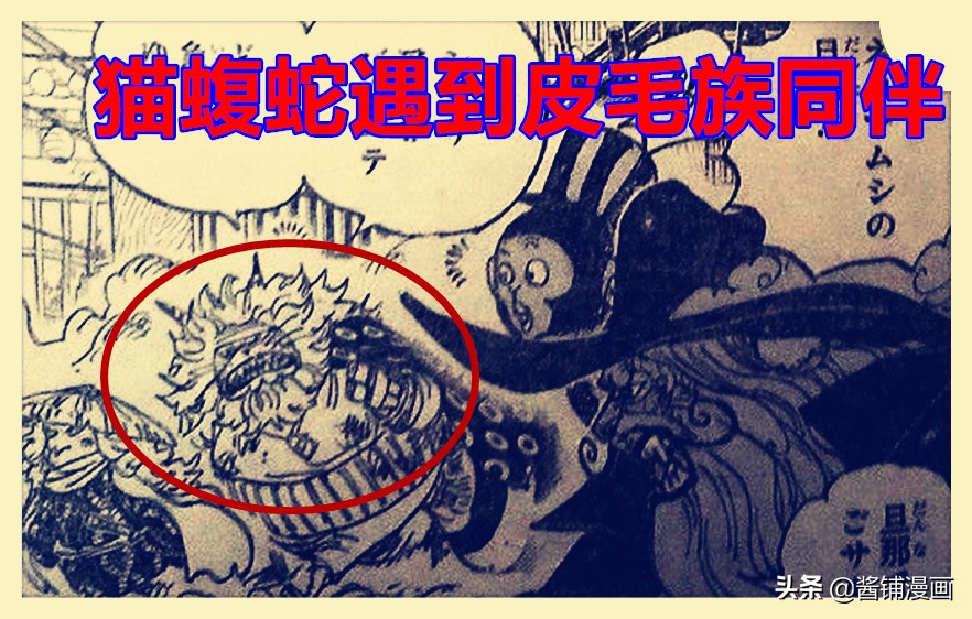 海賊王1012話，暴走的貓蝮蛇vs7億的佩羅斯佩羅，傳次郎行蹤成謎