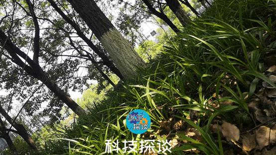 不再为拍摄Vlog发愁，好用不贵的浩瀚小Q云台测评