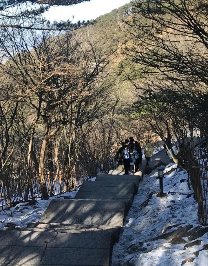 东学团建（上海校篇）|天気がいいから、登山しましょう