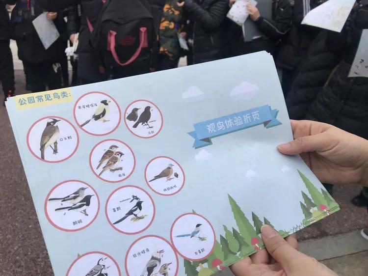 生态研学｜江滩观鸟 用另外一种方式打开大自然