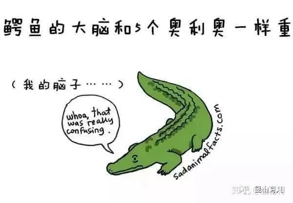 30個(ge) 有趣的科普小星空体育官网入口网站，你知道幾個(ge) ?