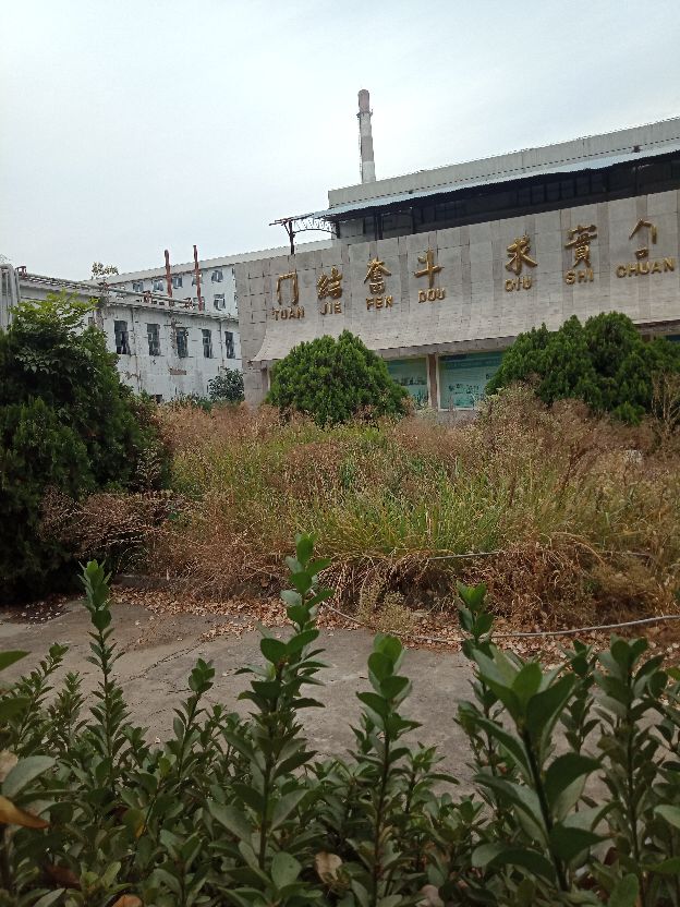 鲁抗医药老厂区的喷水池，已经杂草丛生，可金字招牌依然闪亮如新