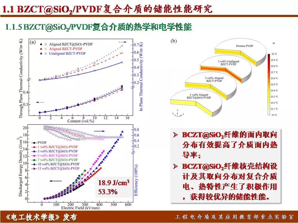 哈尔滨理工大学迟庆国：储能型聚合物基绝缘介质的效率与密度优化