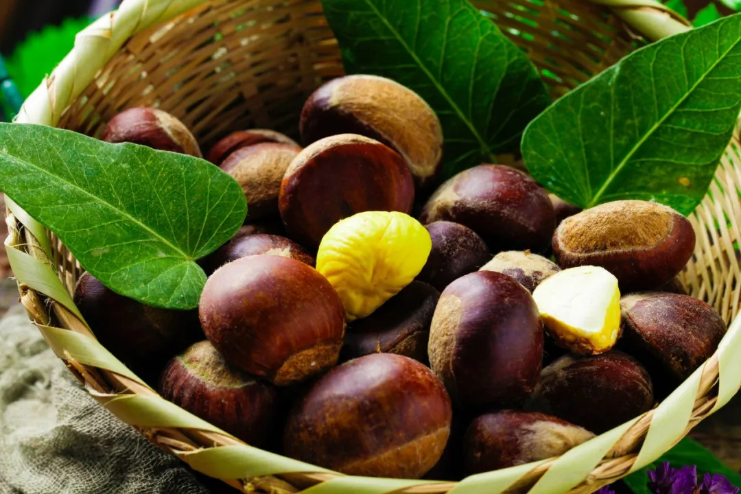 板栗全身都是宝，这样吃美味又健康