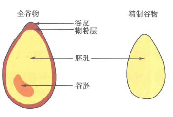 脂肪肝，如何合理安排膳食？