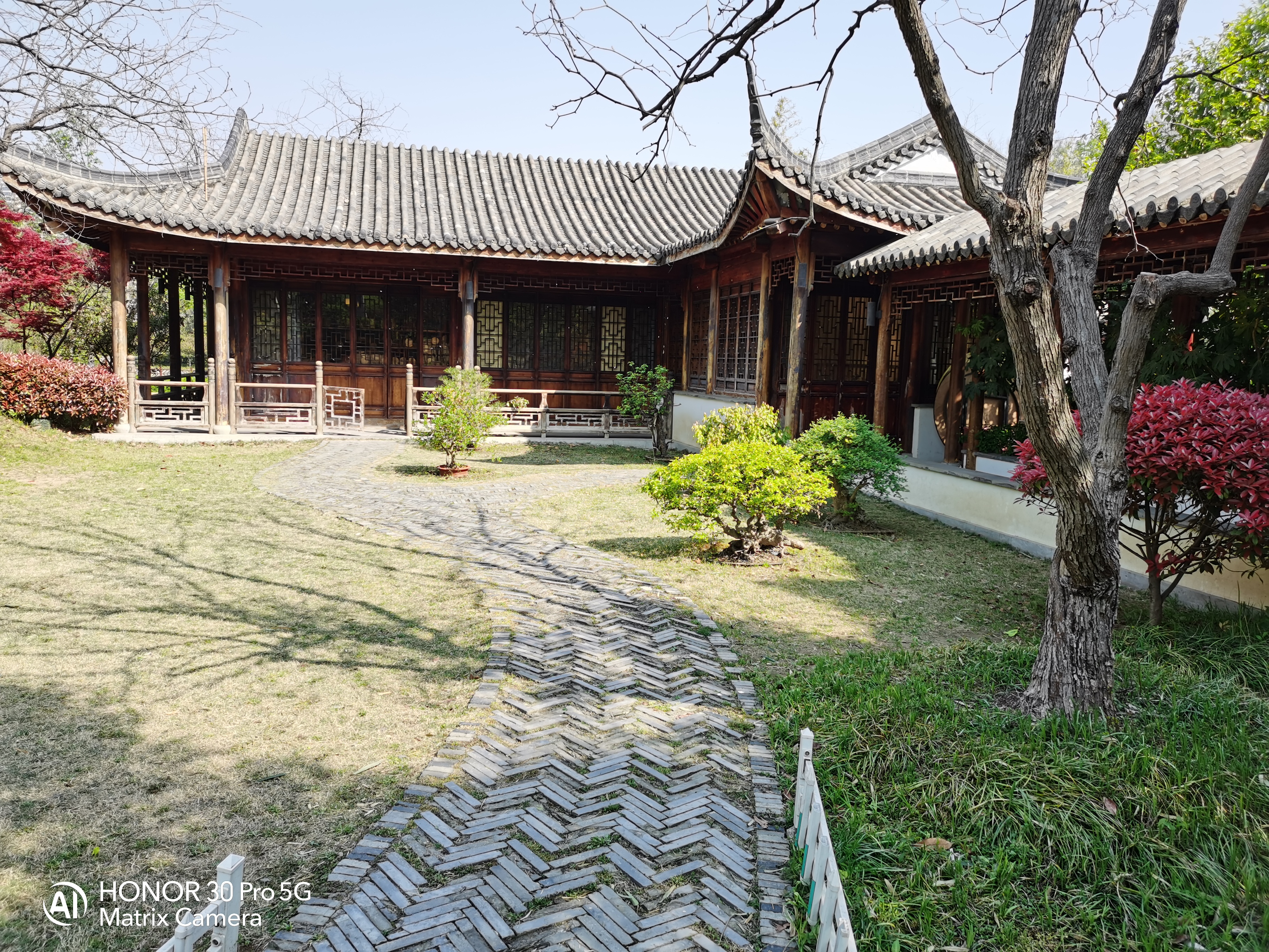 当完全不会拍照的媳妇儿上手测试荣耀30 Pro，你