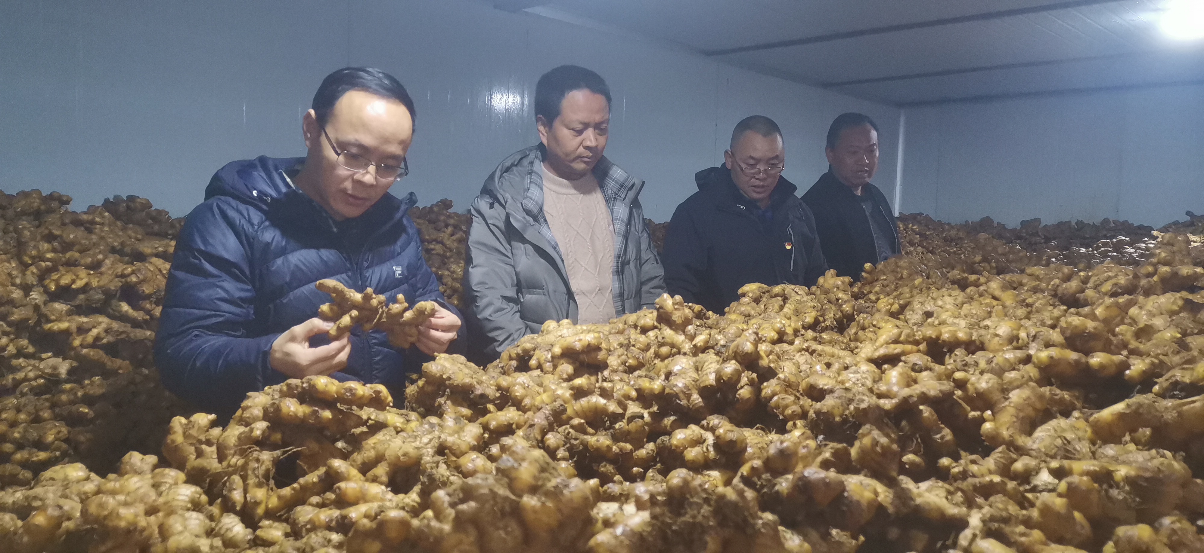 六枝特区牛场乡有个“活地图”与“牛魔王”，强强联手让老百姓成为最大“赢家”