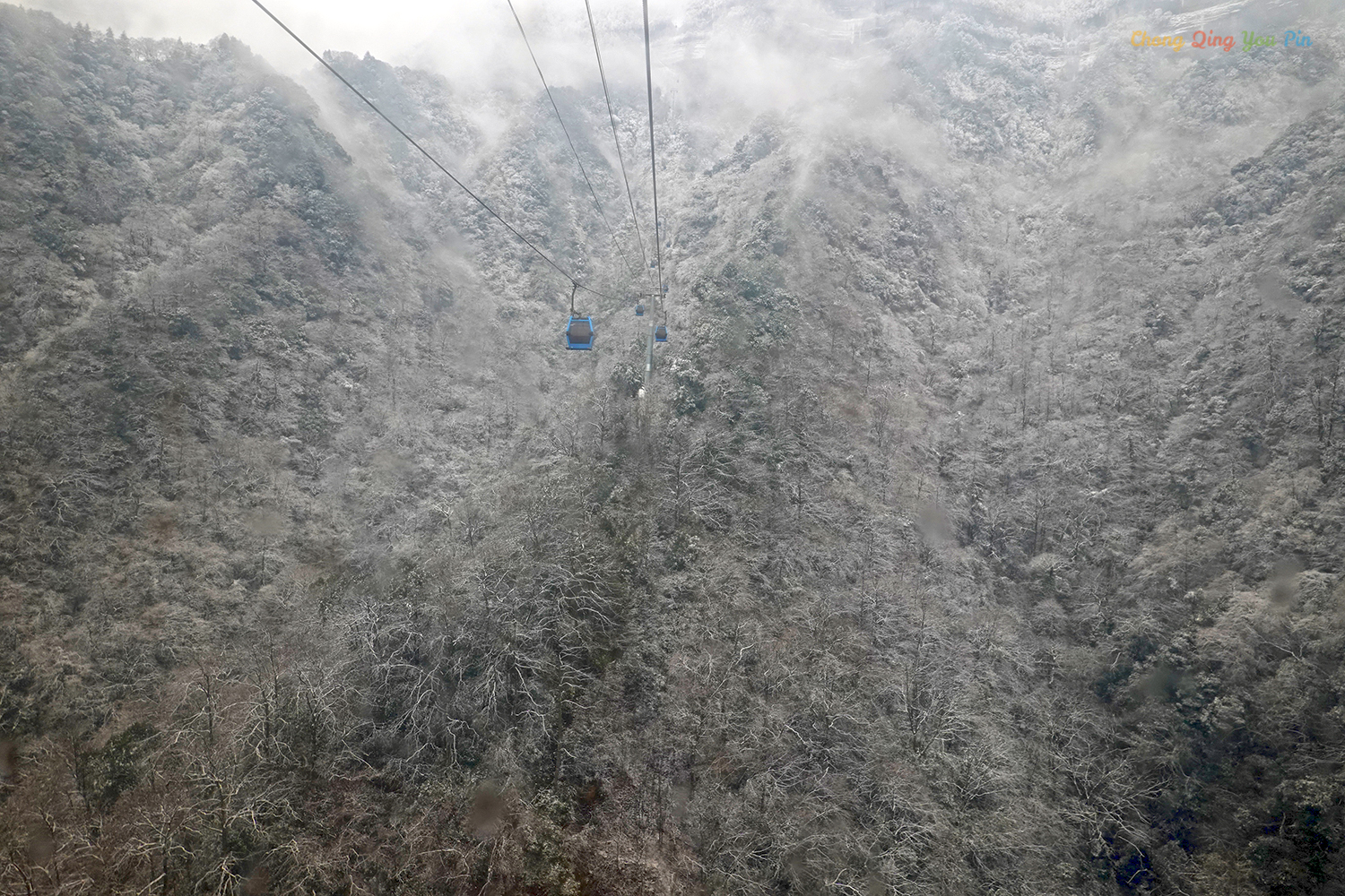 重庆难得的滑雪胜地，冬日里的金佛山，南方人也能看雪了