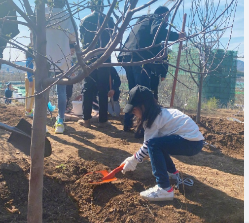 Dong Xuan takes a daughter to plant tree, netizen: I should steal small dimple