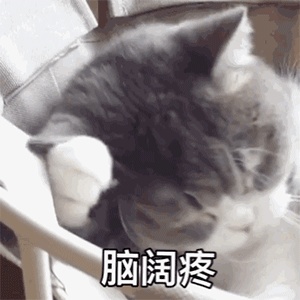 揭秘：教务老师的黑科技。如何2个小时就能排出皆大欢喜的课表