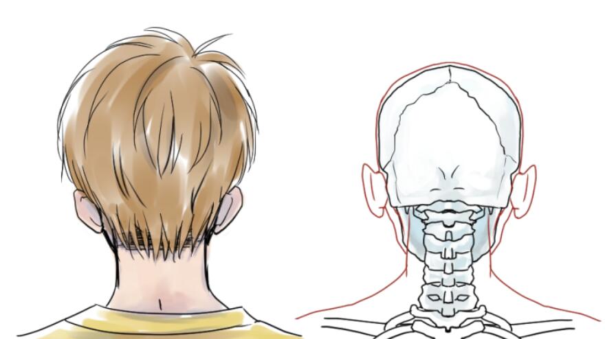 动漫人物后脑勺怎么画？教你一招学会画各角度的人物头部画法