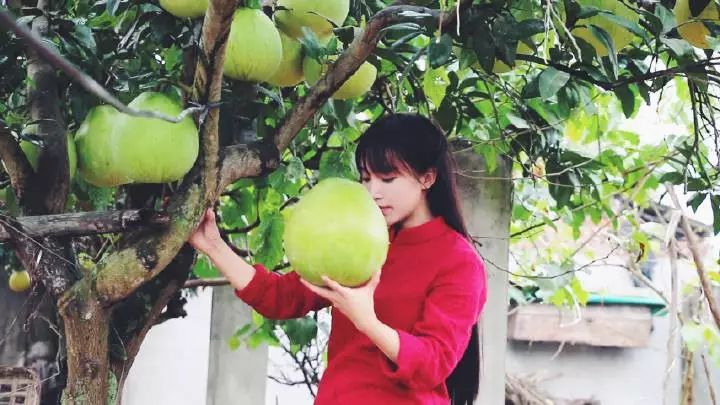 网红李子柒和国家院士袁隆平一起“获奖”？李