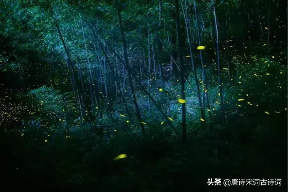 夏夜诗词：看古人如何仰望星空，触笔成荫-第1张图片-诗句网