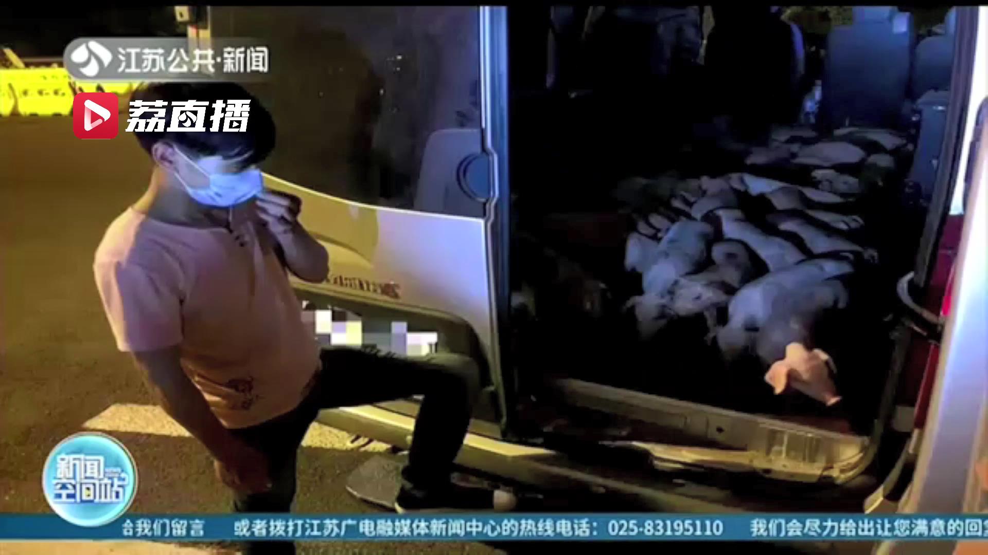 司机私拆座椅塞满60头小猪仔 面包车变成了猪圈