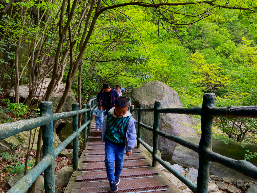 六一帶上自家“神獸”來龍津溪地尋找純真童年！山泉、瀑布、鳥鳴