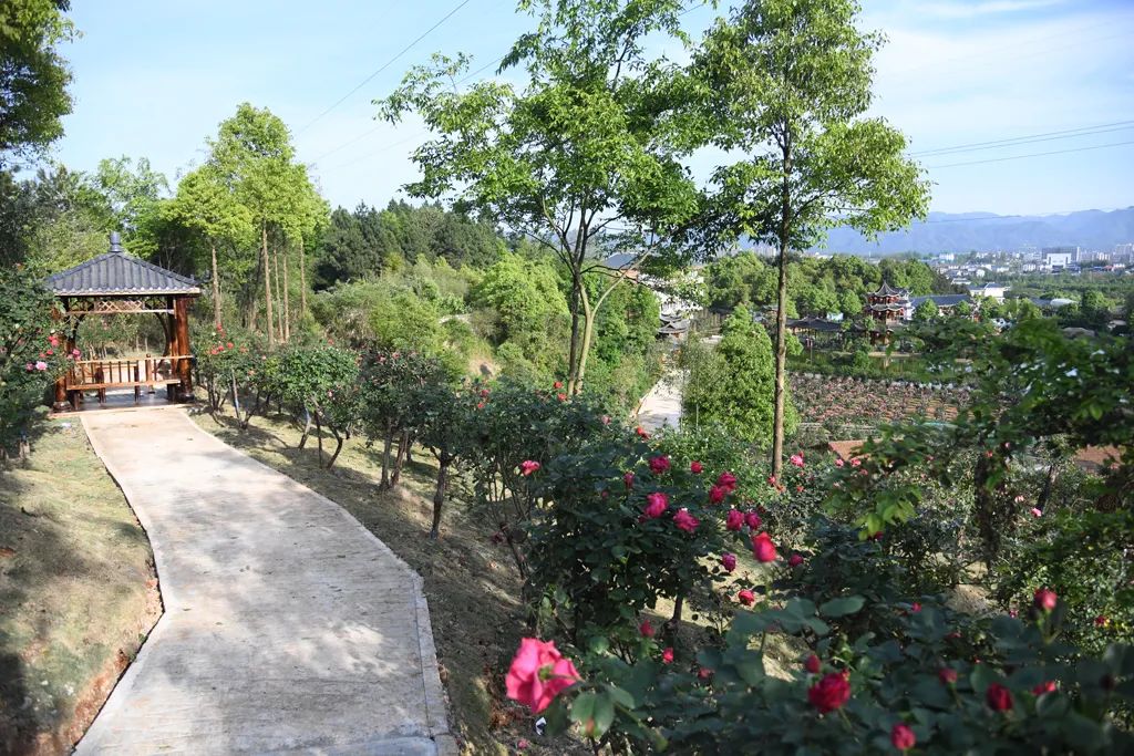 黄秀佳：发展美丽经济助力乡村振兴