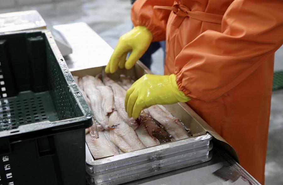 大连海关下禁令，俄副总理责令下属快想办法：恢复对华鱼产品出口