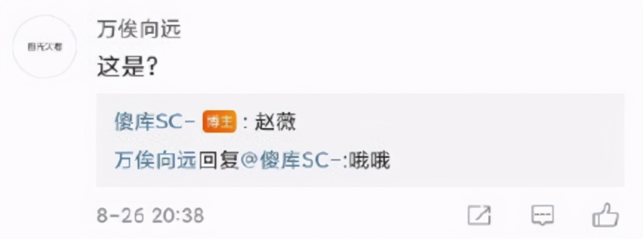 赵薇疑被封杀，被多部主演作品除名，传已将她划分为劣迹艺人