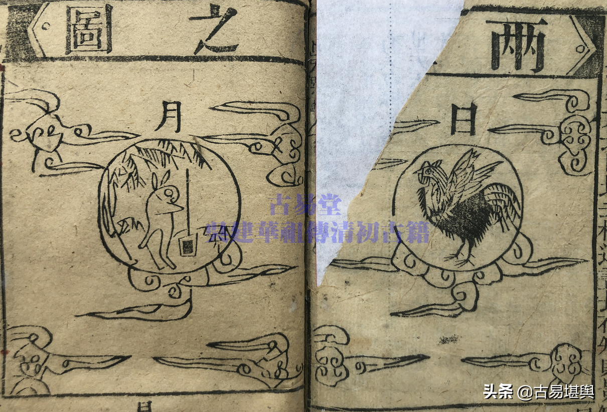 ��ʮ�Ľ�������������ʷ�ķ�չ