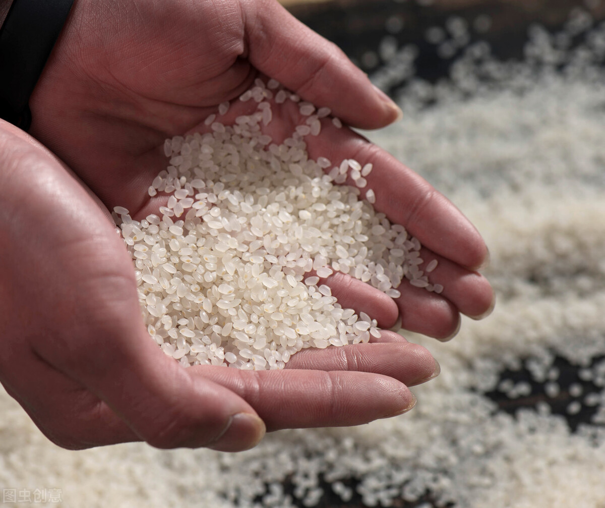 全球粮价连涨9月，创7年新高，抢粮大战激烈，中国人的饭碗稳吗