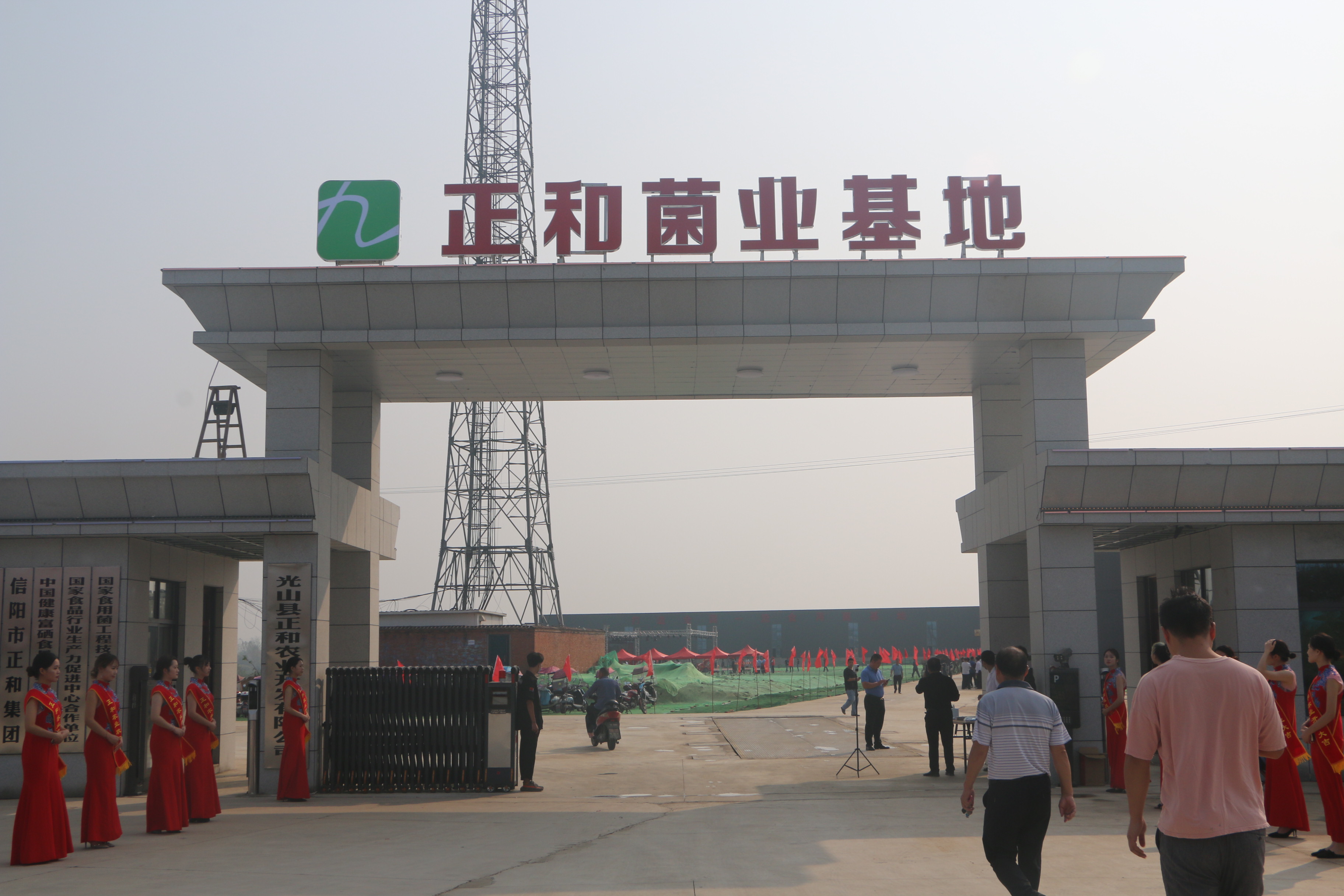 产业撑起致富路“食用菌”助推乡村振兴——信阳市正和农业“好菇粮”食用菌基地三期项目顺利投产