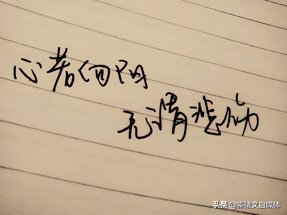 秦绪文：生活就是这样，总是失望，又充满希望