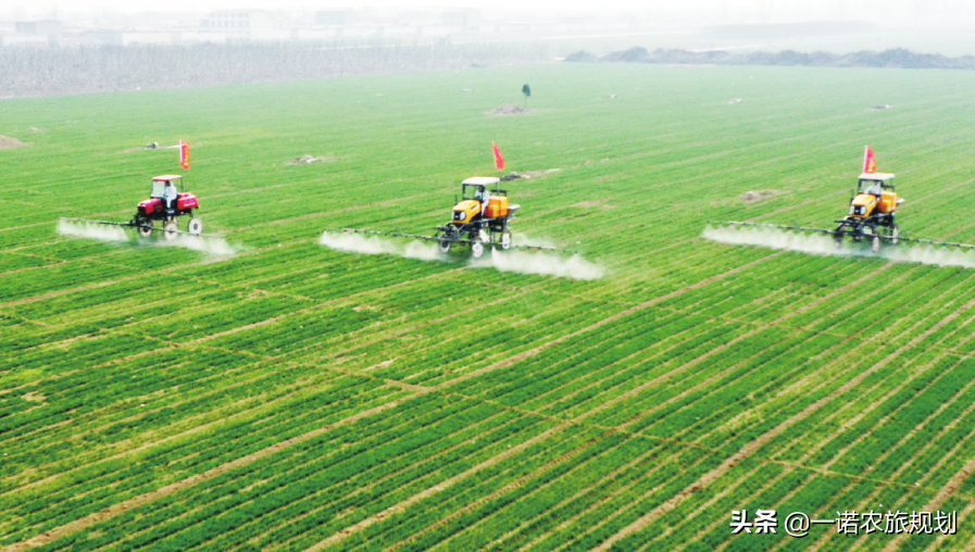 2021年中国农业竞争新风口：数字化