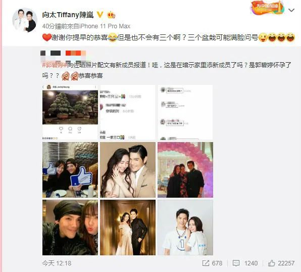 向太疑否认儿媳怀孕，郭碧婷被公开催生配合炒作，套路学何猷君？