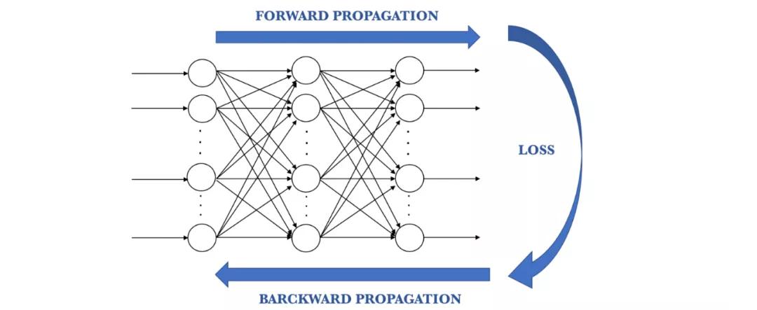 一文了解神经网络工作原理