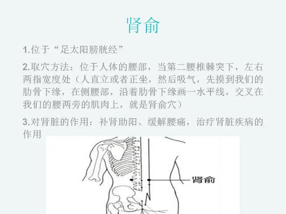 “肾不好了，吃什么？”健康大课堂