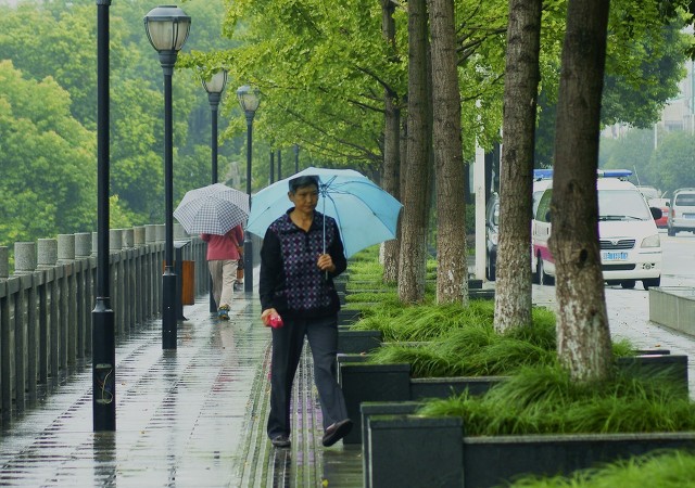 登录查看大图